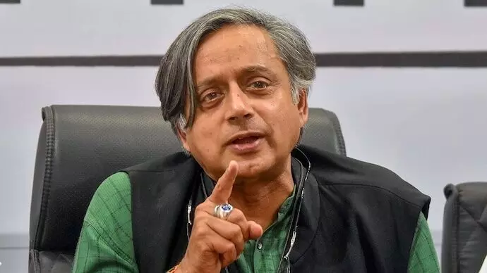 Shashi Tharoor Urges Rethink on Stray Dog Funds, Backs NGOs Over Municipalities