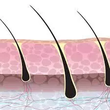 PP405: Promising New Hair Loss Treatment Could Transform Care in India, Pending Trials