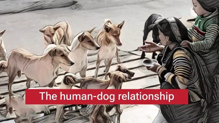 Across Species Lines: The Coexistence of Dogs and Humans