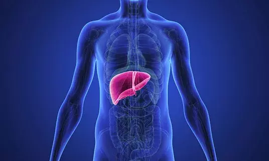 AIIMS-Trained Gastroenterologist Warns: Soft Drinks Can Cause Fatty Liver in Children, May Require Transplant in Severe Cases