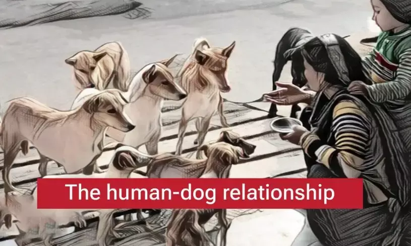 Across Species Lines: The Coexistence of Dogs and Humans