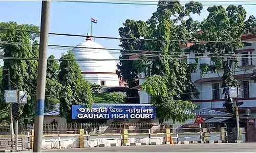 Guwahati High Court Slams Assam Govt Over 3000 Bigha Land Allotment to Cement Company