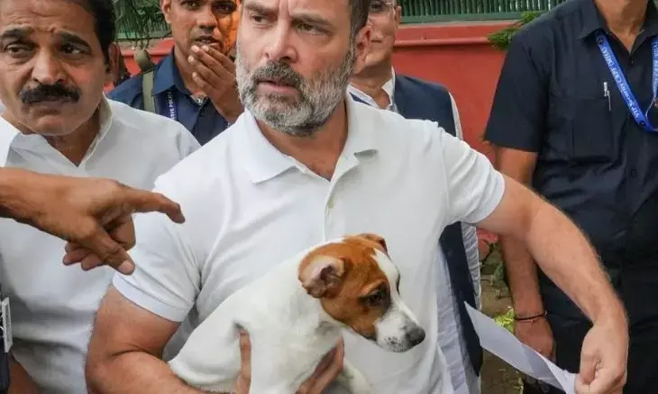 ‘Grounded in science’: Rahul Gandhi praises Supreme Court’s revised stray dogs order
