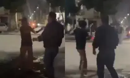 Ghaziabad Woman Slapped Repeatedly While Feeding Stray Dogs, Man Arrested