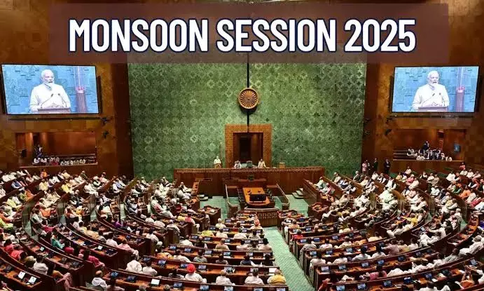 Democracy on Pause: When Parliament Fails the People Who Fund It