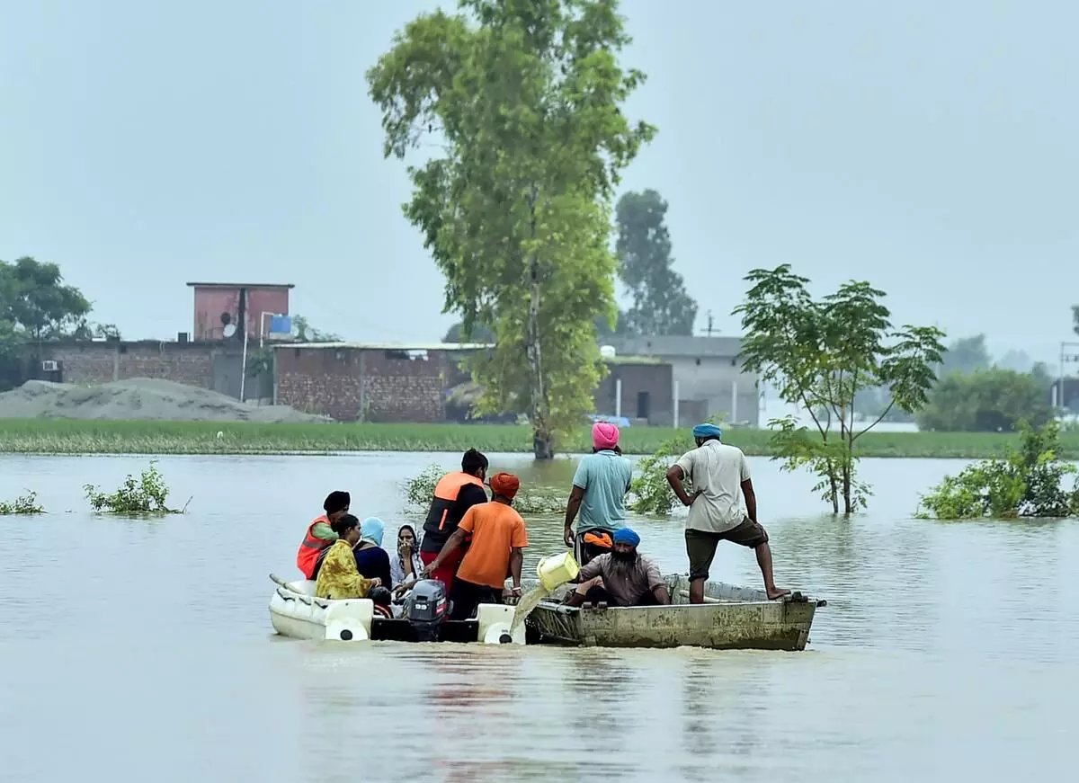 AAP to launch door-to-door campaign to collect relief for Punjab flood victims