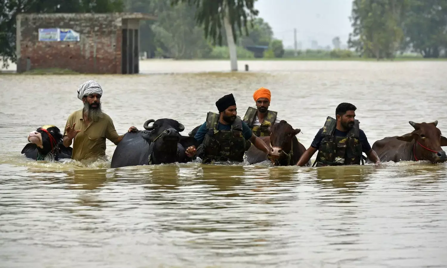 Punjab shuts all schools, colleges and universities till September 7 amid floods