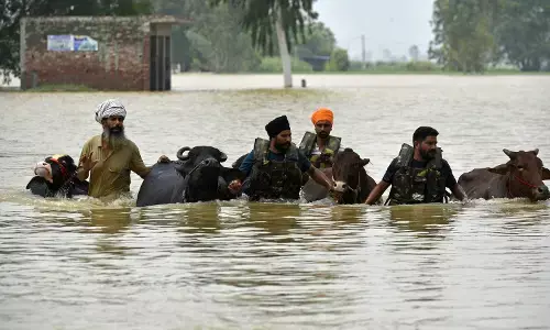 Punjab shuts all schools, colleges and universities till September 7 amid floods