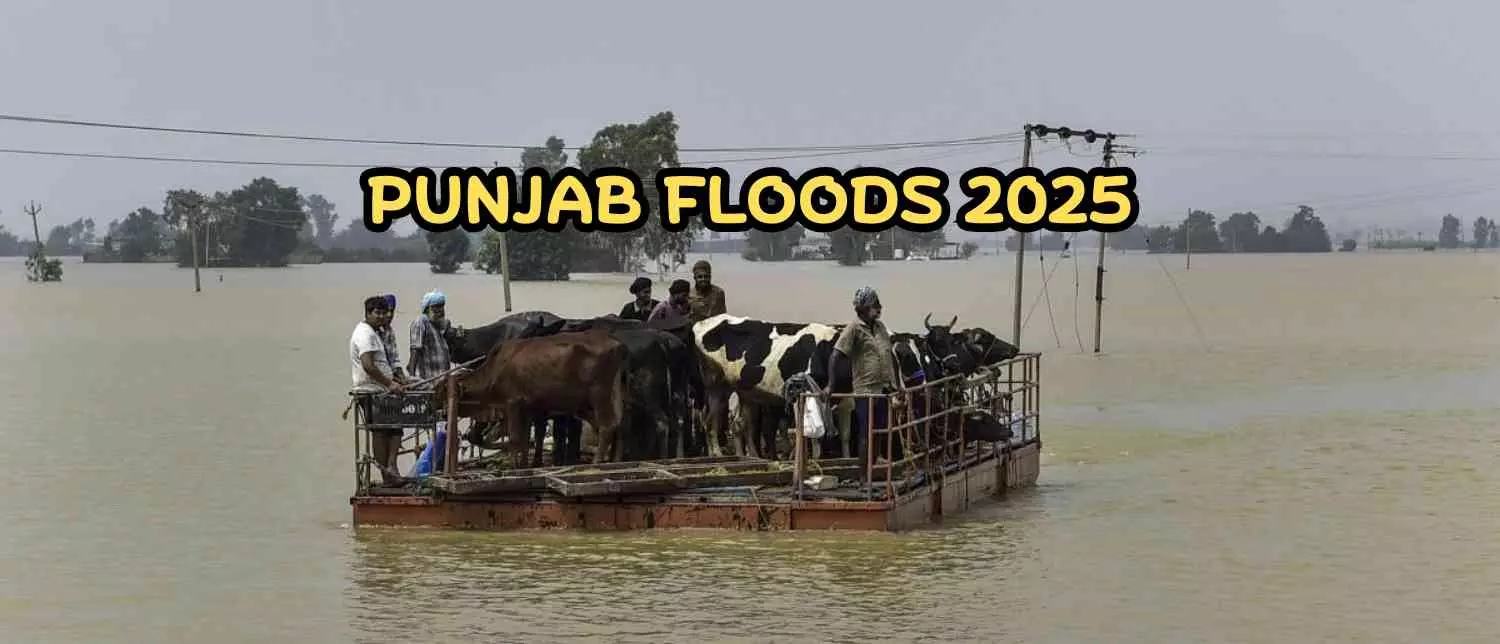 Punjab Govt Releases ₹71 Crore for Flood Relief, Rehabilitation