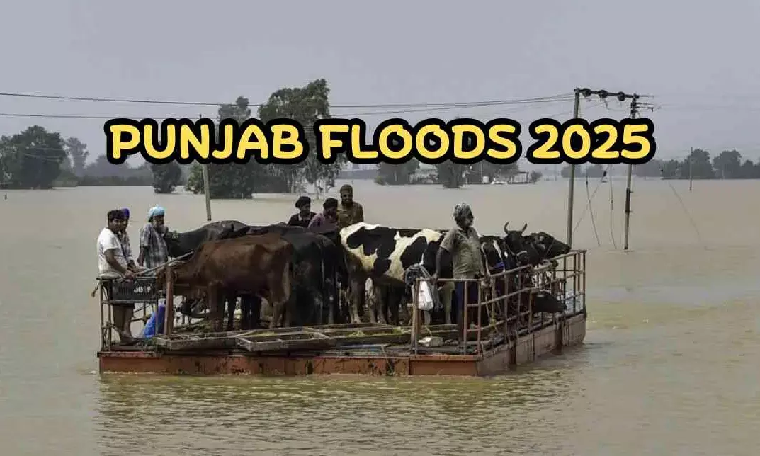 Punjab Govt Releases ₹71 Crore for Flood Relief, Rehabilitation