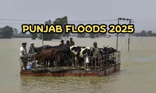 Punjab Govt Releases ₹71 Crore for Flood Relief, Rehabilitation