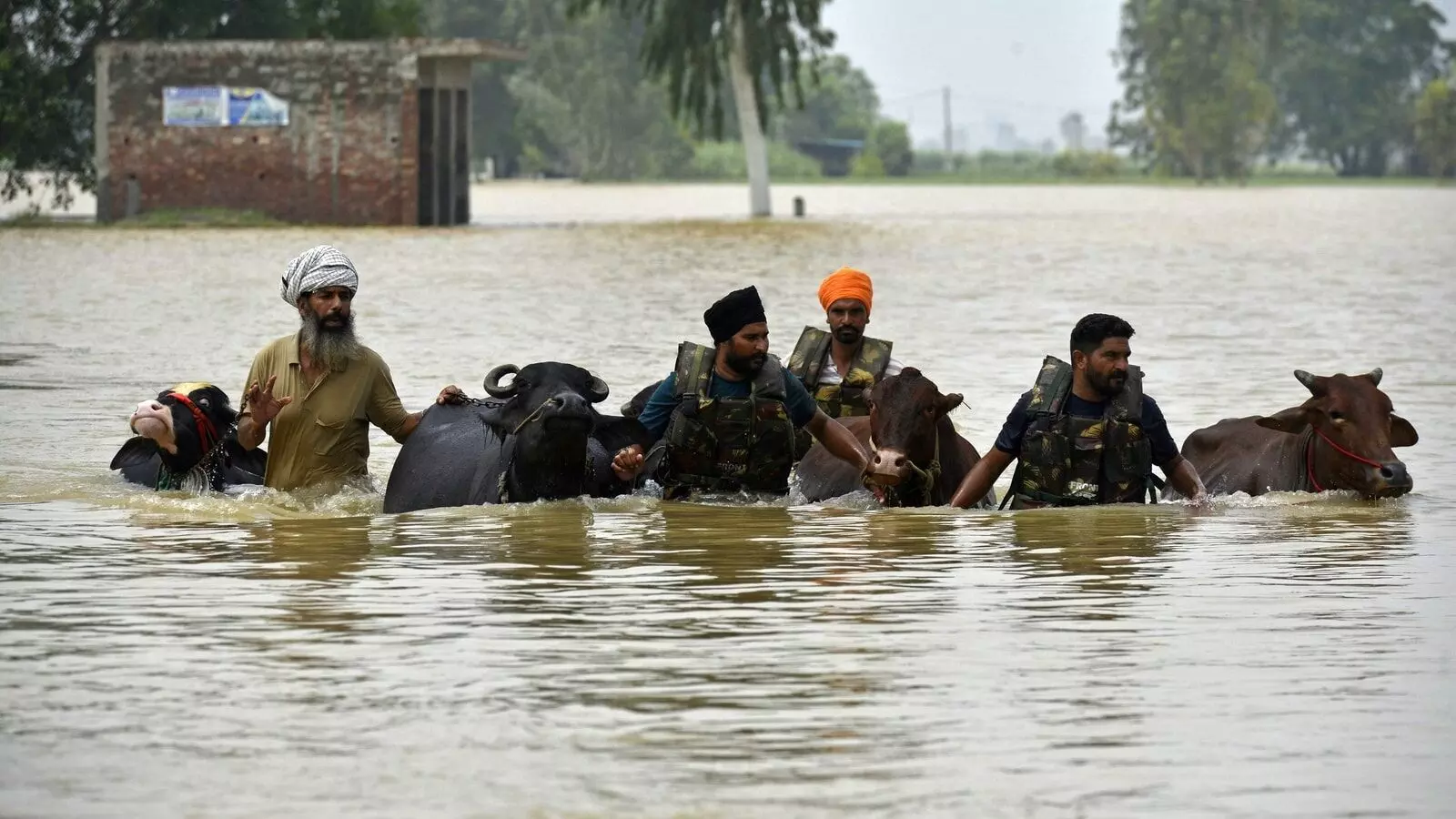 Punjab Flood Situation Eases as Rainfall Declines; Over 21,900 Evacuated Safely