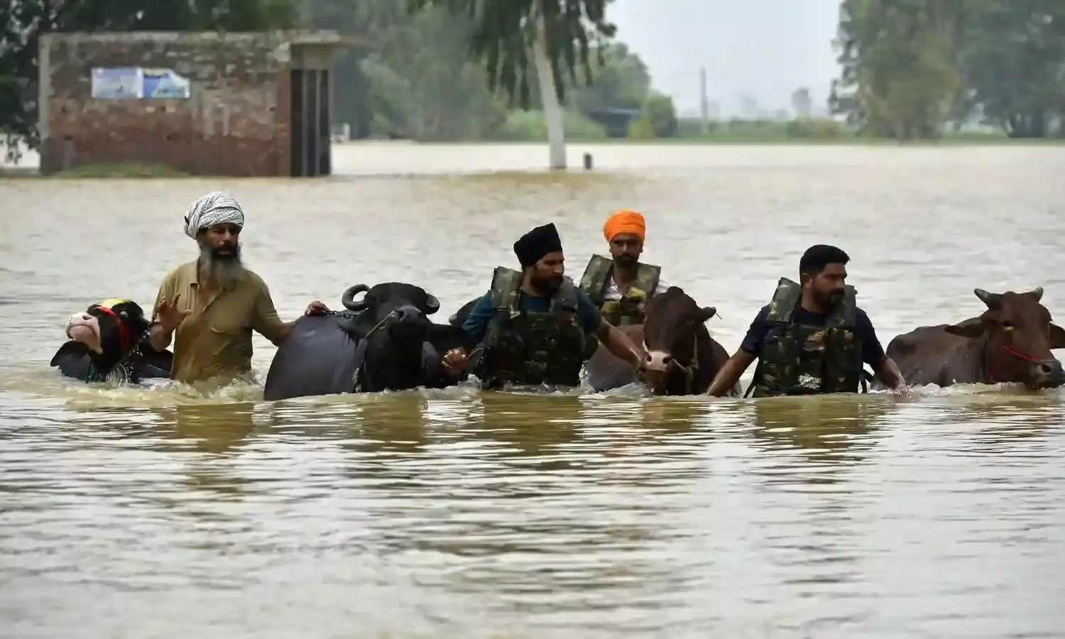 Punjab Flood Situation Eases as Rainfall Declines; Over 21,900 Evacuated Safely