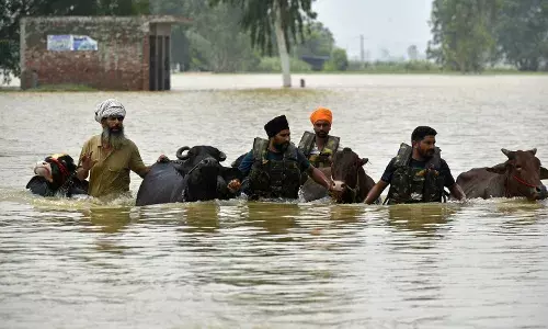 Punjab Seeks ₹8,000 Crore Flood Relief, Higher Compensation for Farmers