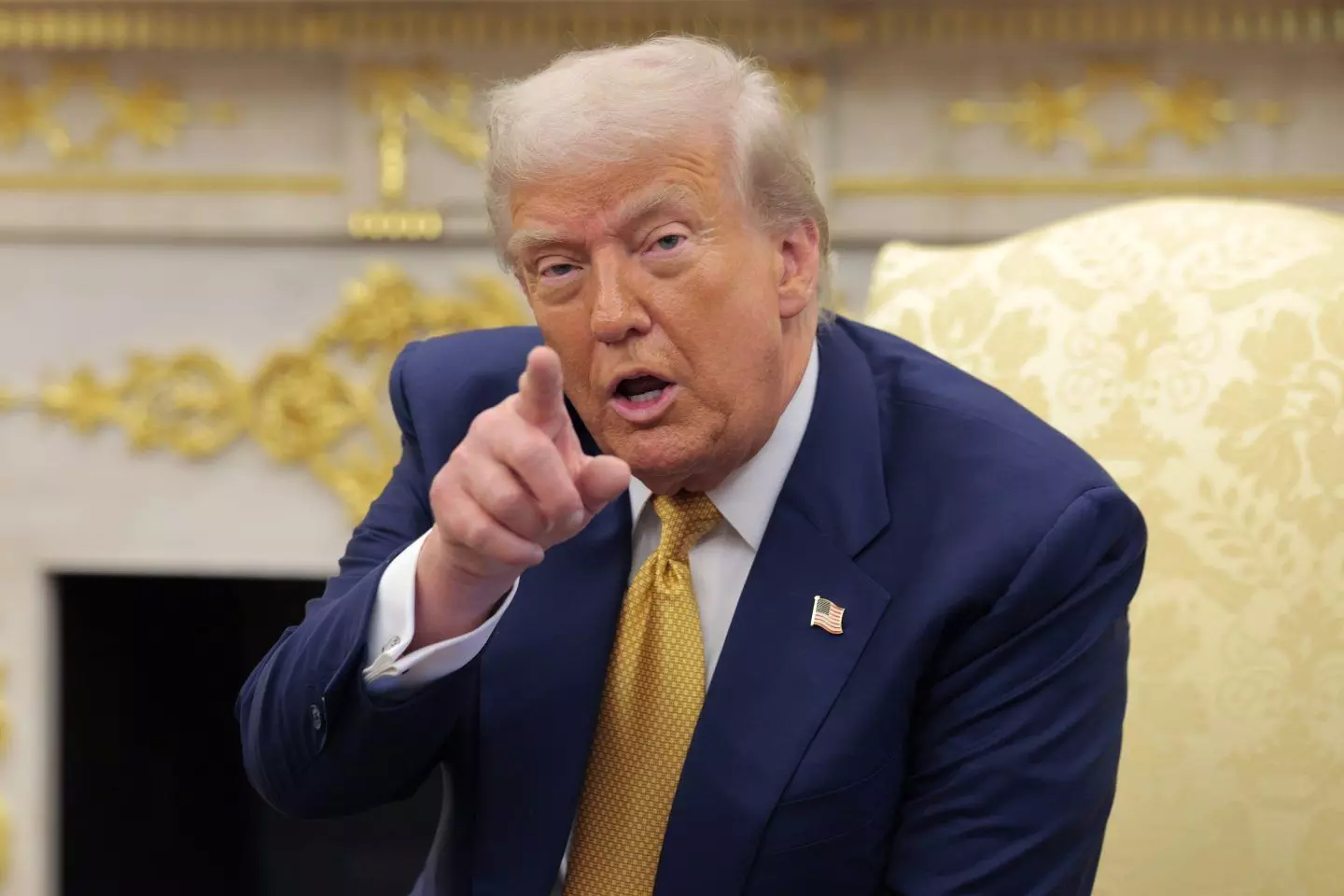 Trump May Crack Down on Outsourcing to Indian IT Firms, Claims Right-Wing Activist Laura Loomer