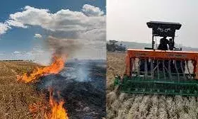 Punjab Govt Launches Crop-Residue Loan Scheme to Check Stubble Burning