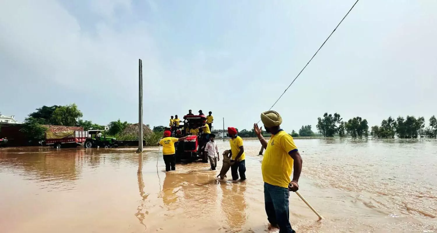 Punjab Ministers Step Into Flood-Hit Streets to Lead Sanitization Drive Punjab Ministers Step Into Flood-Hit Streets to Lead Sanitization Drive