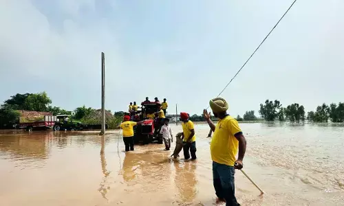 Punjab Ministers Step Into Flood-Hit Streets to Lead Sanitization Drive Punjab Ministers Step Into Flood-Hit Streets to Lead Sanitization Drive
