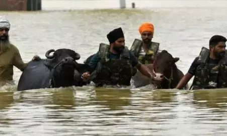 Punjab Rescues 5 Lakh Animals, Vaccinates 1.75 Lakh Against ‘Gal-Ghotu’