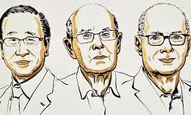 Nobel Prize in Chemistry 2025 Awarded to Kitagawa, Robson, and Yaghi for Metal-Organic Frameworks