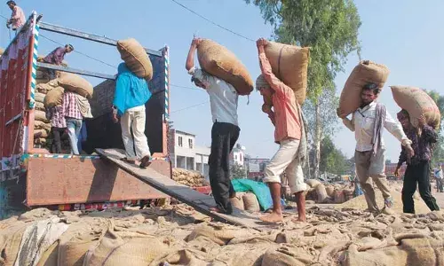 Punjab Registers FIR in Crackdown on Illegal Paddy Transport from Rajasthan