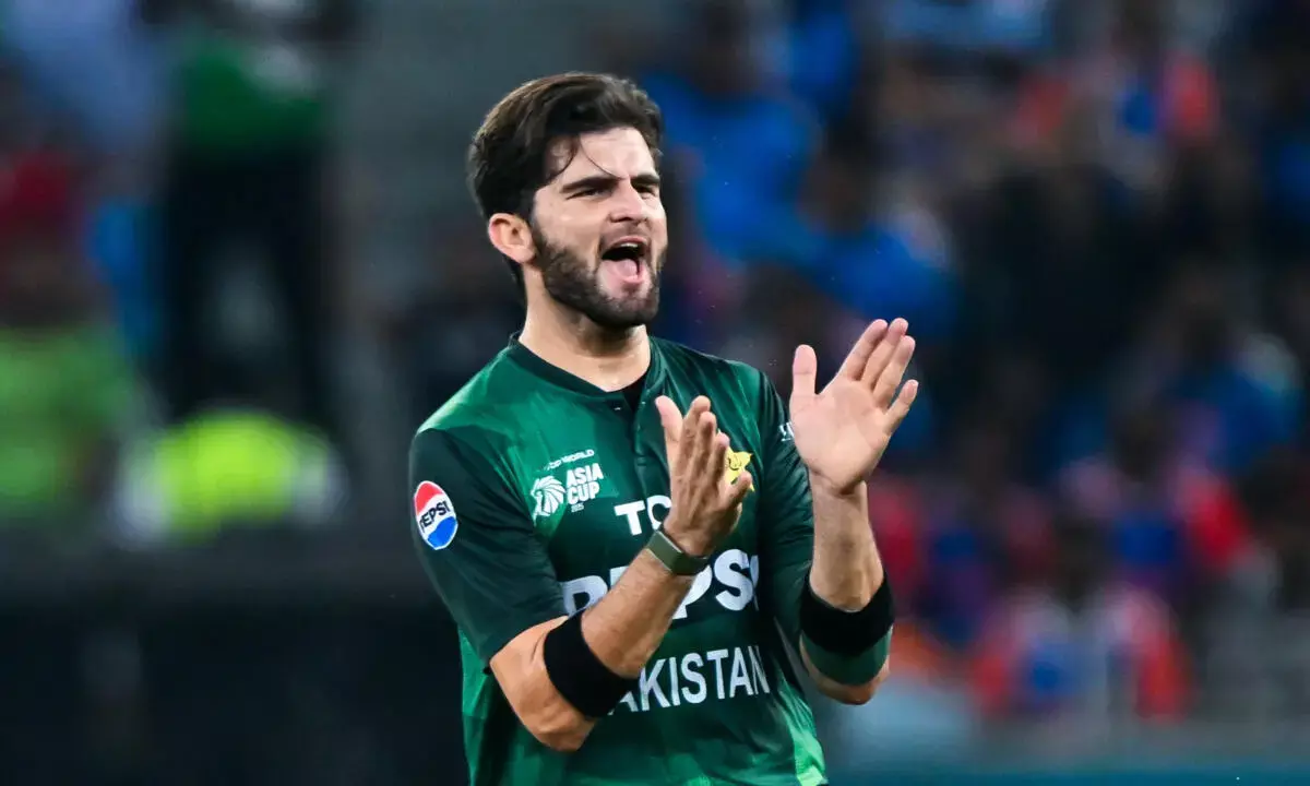 Shaheen Afridi Named Pakistan’s New ODI Captain, Replaces Mohammad Rizwan