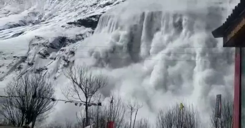 Season’s First Snowfall in Himachal Turns Fatal: 250 Livestock Perish in Chamba Avalanche