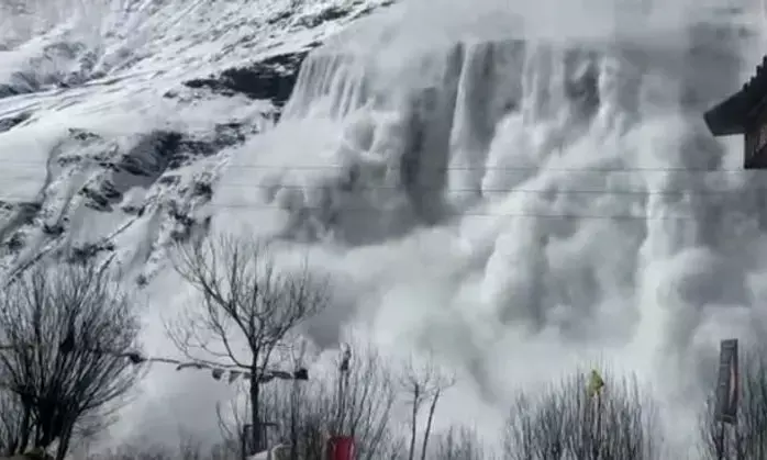 Season’s First Snowfall in Himachal Turns Fatal: 250 Livestock Perish in Chamba Avalanche