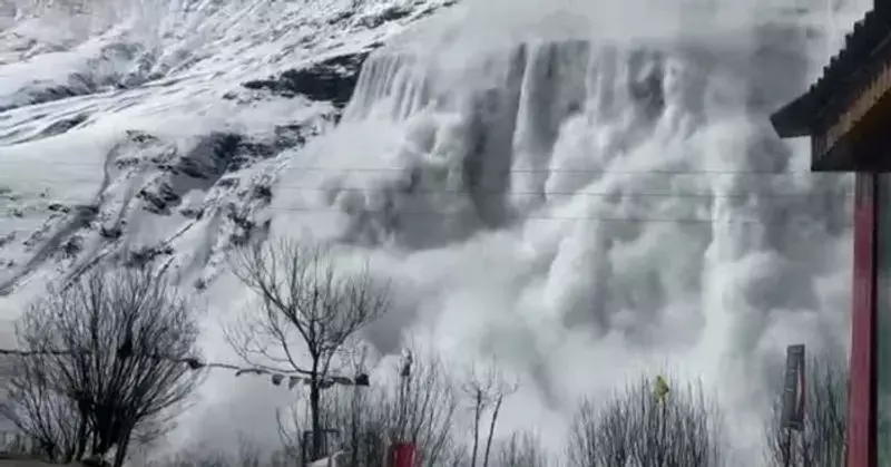 Season’s First Snowfall in Himachal Turns Fatal: 250 Livestock Perish in Chamba Avalanche