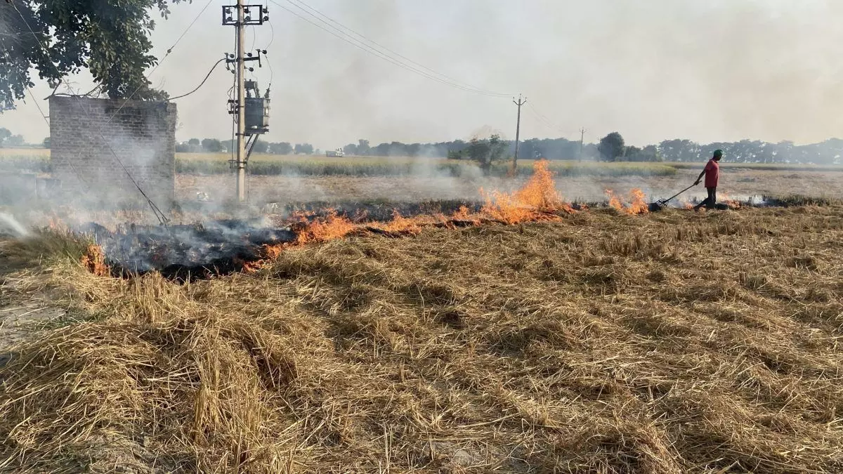 Stubble burning in Punjab and Haryana is often blamed for rise in air pollution in Delhi-NCR