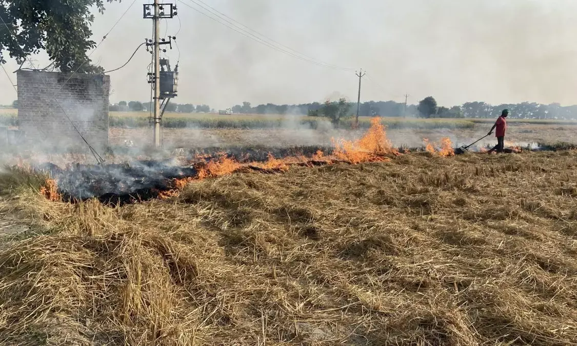 Stubble burning in Punjab and Haryana is often blamed for rise in air pollution in Delhi-NCR