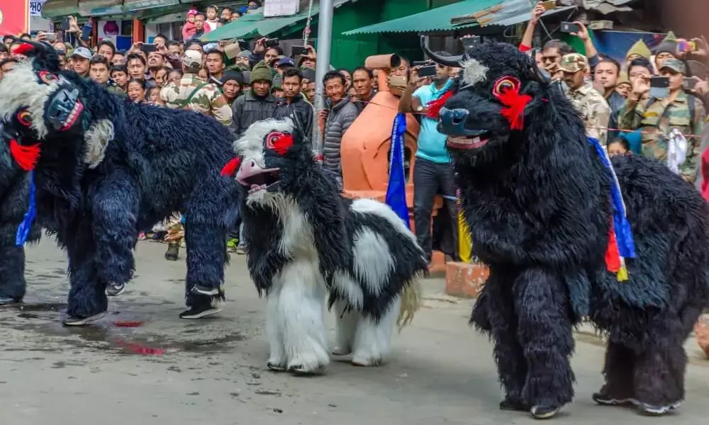 Yak Mela 3.0 Celebrates Brokpa Heritage and Yak Conservation in Tawang