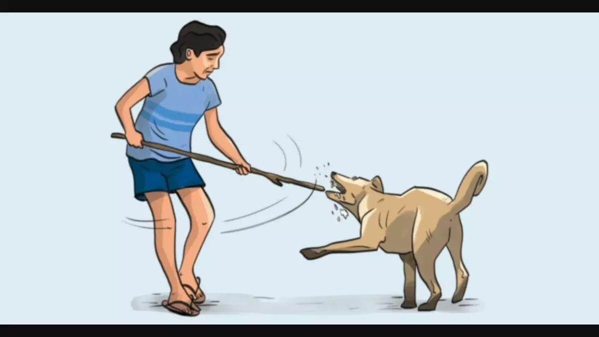 Over 2.1 Lakh Dog Bite Cases Reported in J&K Since 2022, Srinagar Worst Hit