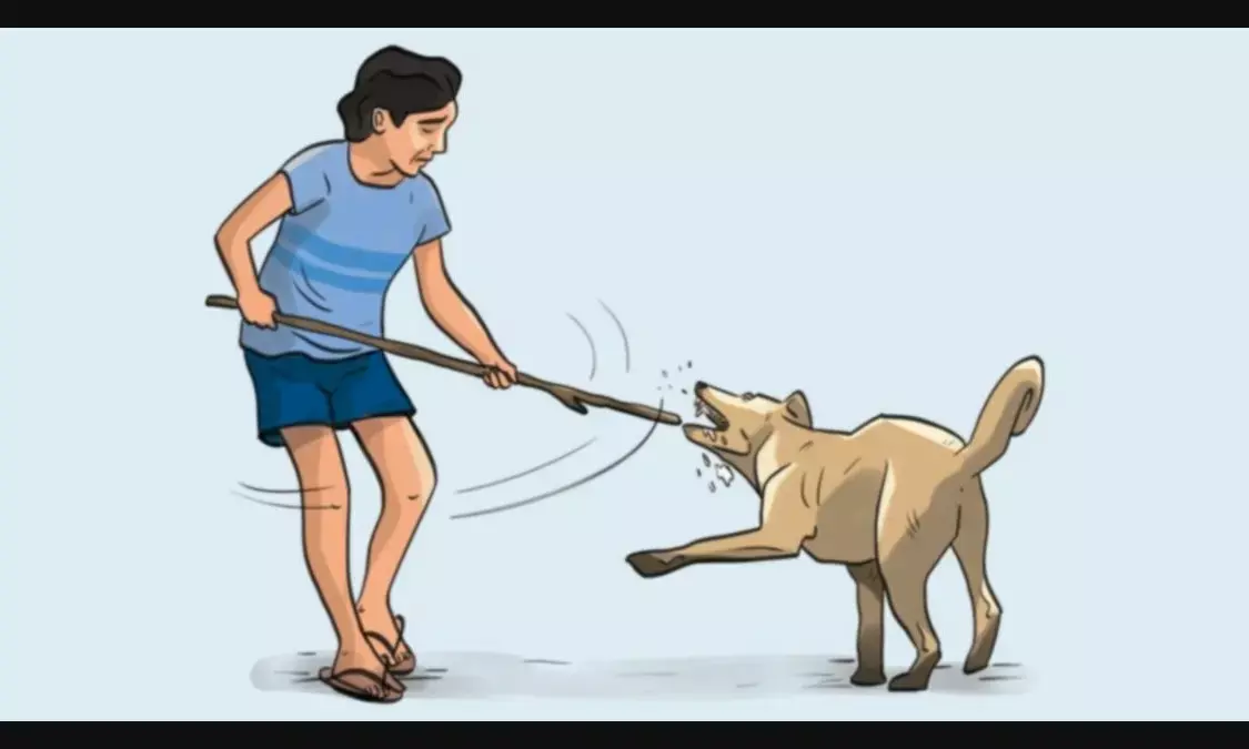 Over 2.1 Lakh Dog Bite Cases Reported in J&K Since 2022, Srinagar Worst Hit