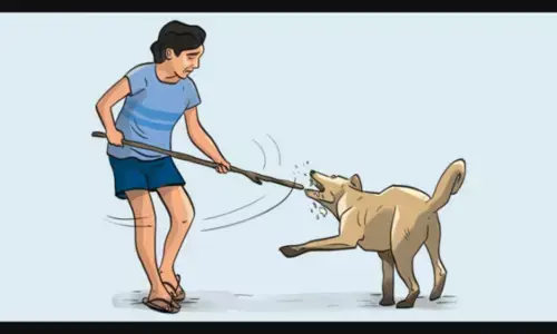 Over 2.1 Lakh Dog Bite Cases Reported in J&K Since 2022, Srinagar Worst Hit