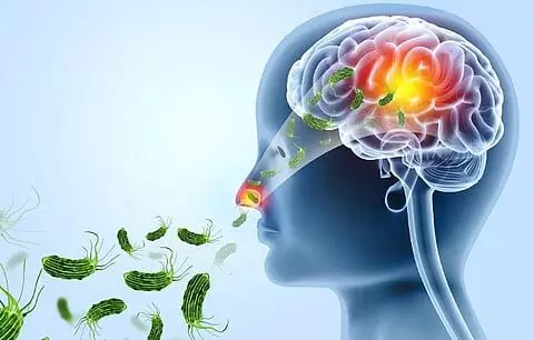 Kerala, ICMR Launch Joint Study to Uncover Causes of Amebic Brain Fever