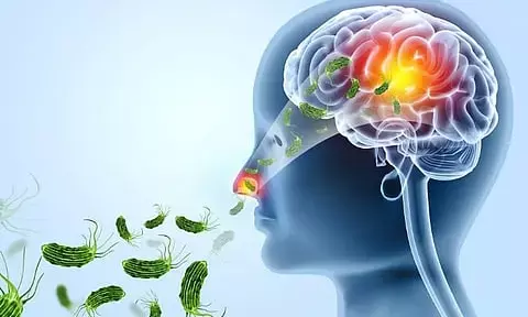 Kerala, ICMR Launch Joint Study to Uncover Causes of Amebic Brain Fever