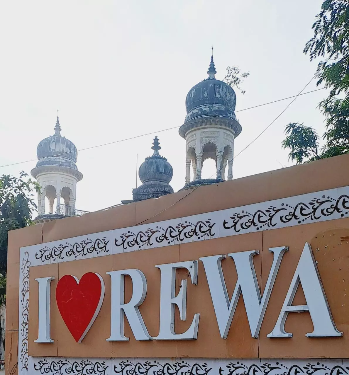 The City of White Lions is Now Changing Its Destiny  Bihar Elections Leave Their Mark on Madhya Pradesh