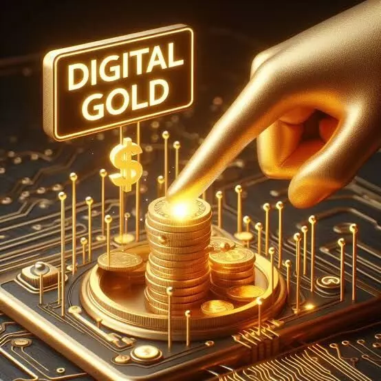 Digital Gold or Digital Mirage? The Illusion of Wealth in a Vaultless Economy