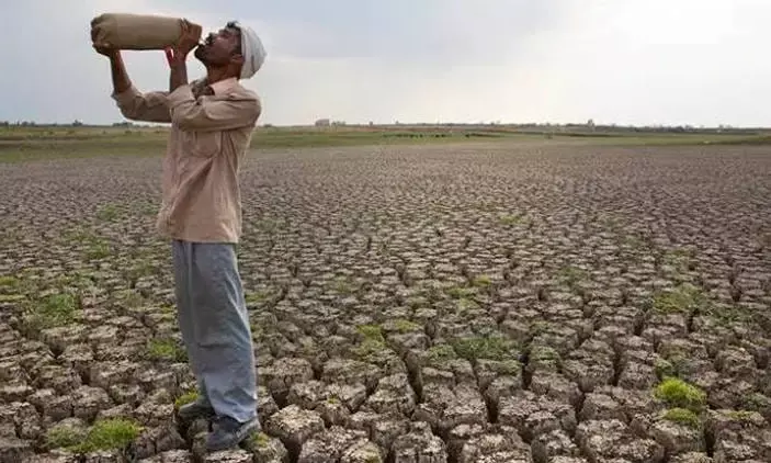 West Vidarbha Agrarian Crisis Deepens: 888 Farmer Suicides in 10 Months, 87 in October Alone