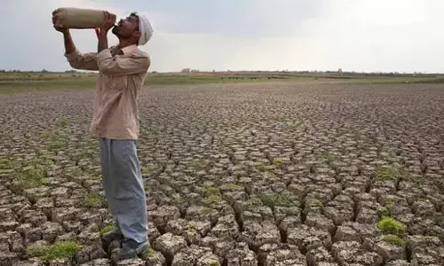 West Vidarbha Agrarian Crisis Deepens: 888 Farmer Suicides in 10 Months, 87 in October Alone