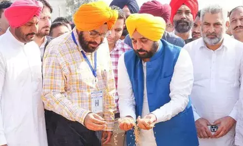 Punjab Sets New Record With Over 150 Lakh MT Paddy Procurement Under Mann Government Punjab Sets New Record With Over 150 Lakh MT Paddy Procurement Under Mann Government