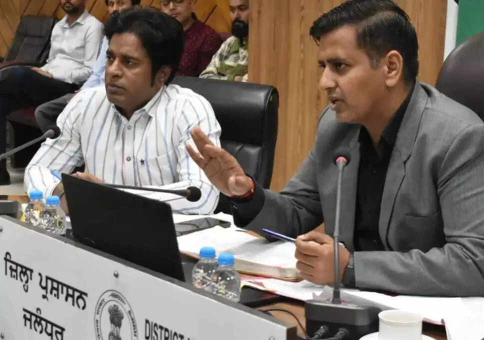 Punjab Launches First-Ever Statewide Action Plan to Tackle Stray Animal Crisis