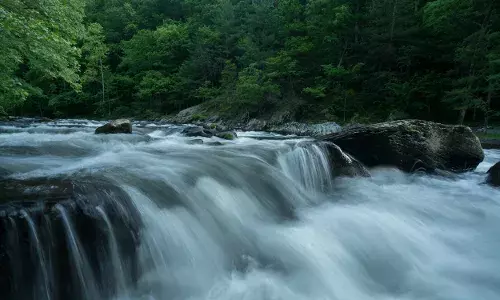 The Hidden Rivers of Global Trade: Exploring the Impacts of Virtual Water Flows