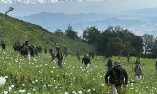 Manipur Security Forces Launch Major Crackdown, Destroy 10 Acres of Poppy Fields and Bust Drug Networks
