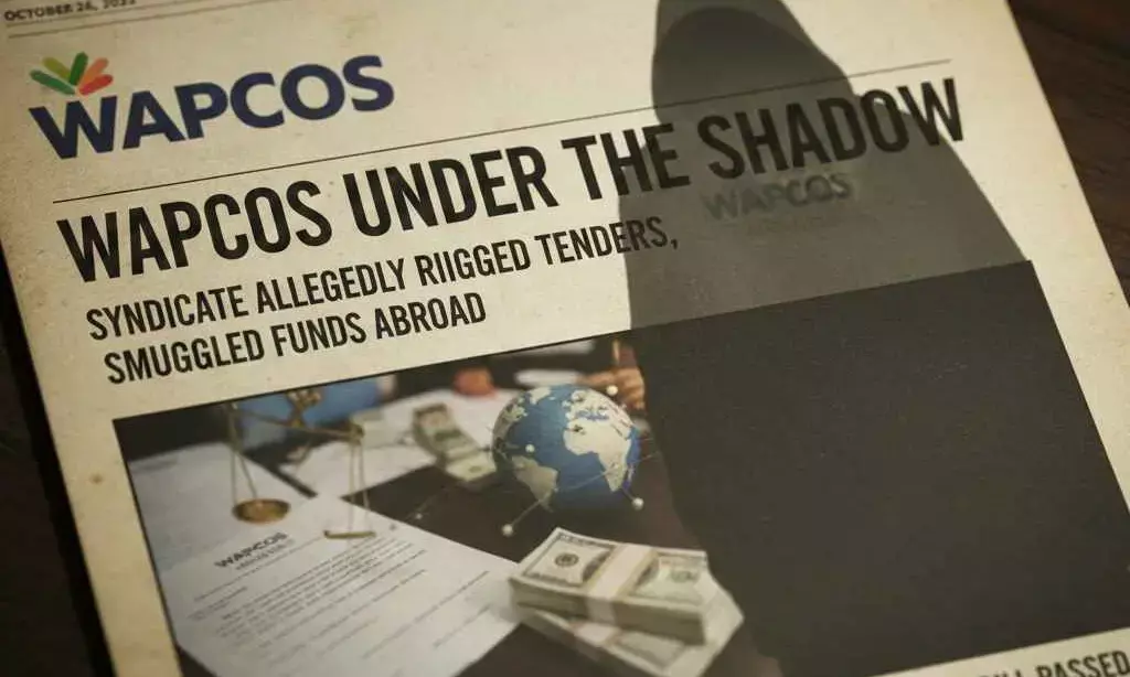 WAPCOS Under the Shadow: Syndicate Allegedly Rigged Tenders, Smuggled Funds Abroad