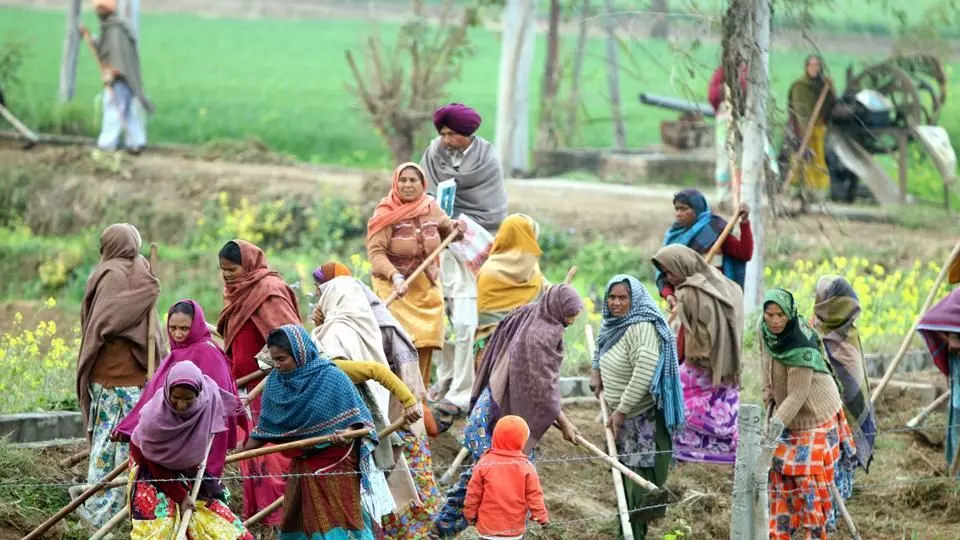 Punjab Announces Major MNREGA Reform: Workers to Get Full Wages for Home-Based Work