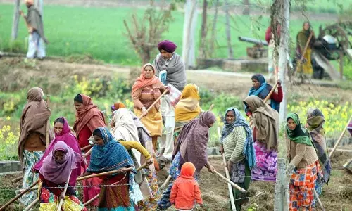 Punjab Announces Major MNREGA Reform: Workers to Get Full Wages for Home-Based Work