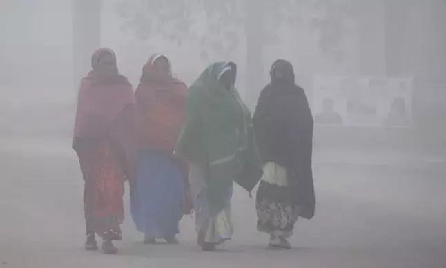Severe Cold and Dense Fog to Grip Uttar Pradesh for Next Three Days: IMD