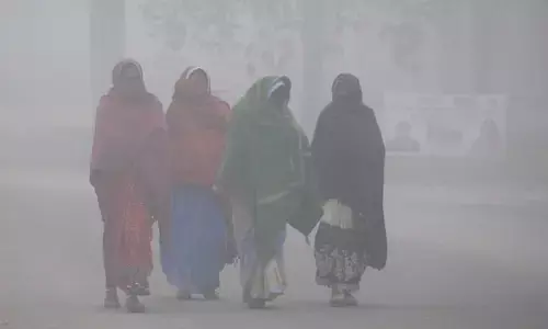 Severe Cold and Dense Fog to Grip Uttar Pradesh for Next Three Days: IMD